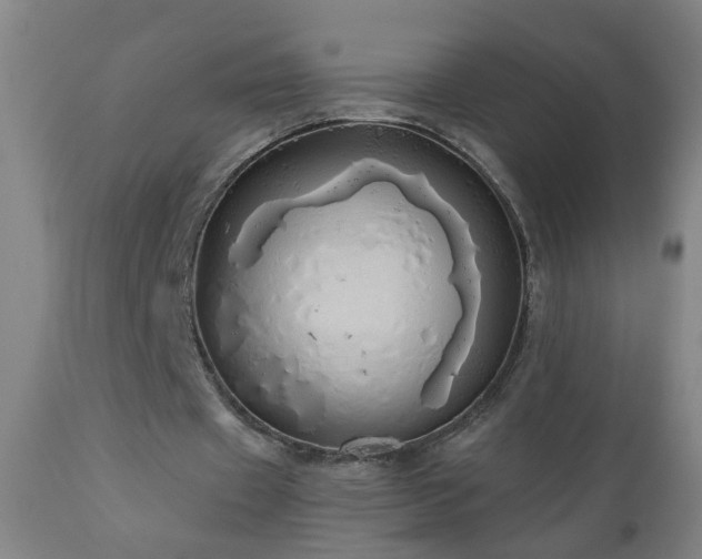 X0000111050433200906251437