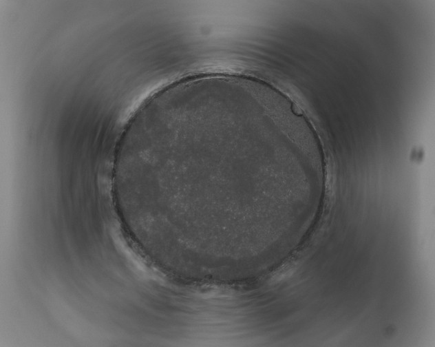 X0000111050434200906251437