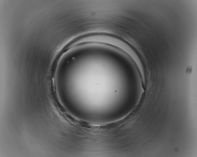 X0000111050436200906251437