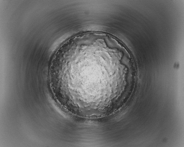 X0000111050437200906251437