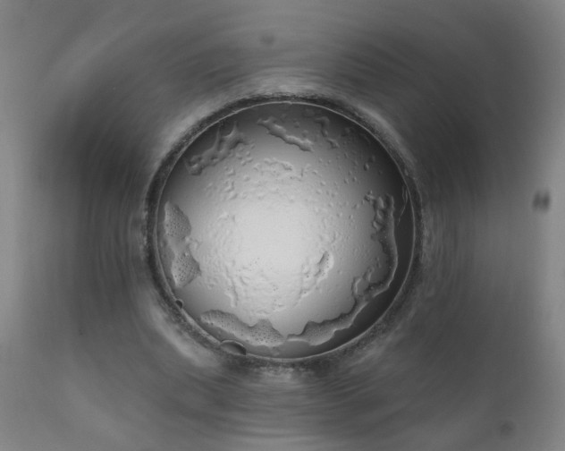 X0000111050439200906251437