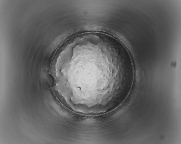 X0000111050441200906251437