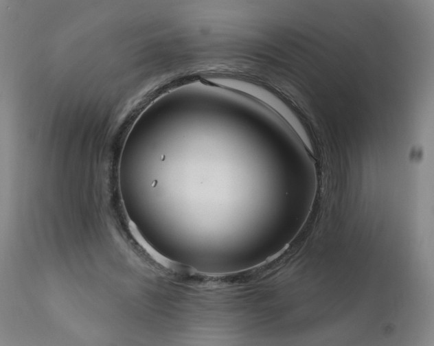 X0000111050444200906251437