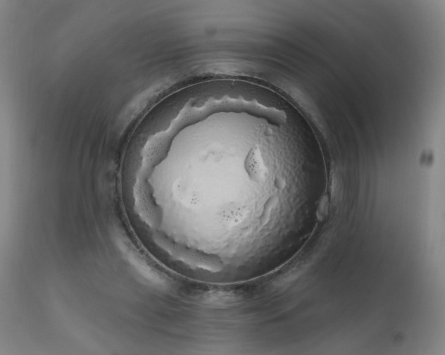 X0000111050445200906251437