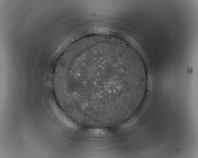 X0000111050449200906251437