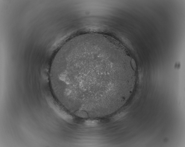 X0000111050450200906251437