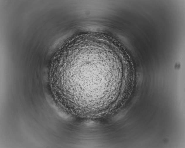 X0000111050453200906251437