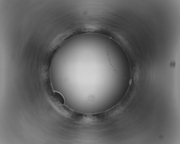 X0000111050455200906251437