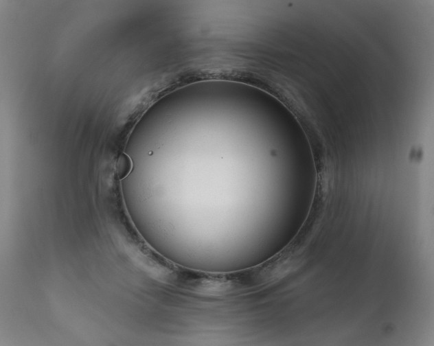 X0000111050458200906251437