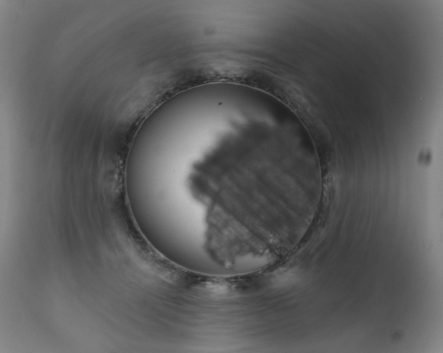 X0000111050464200906251437