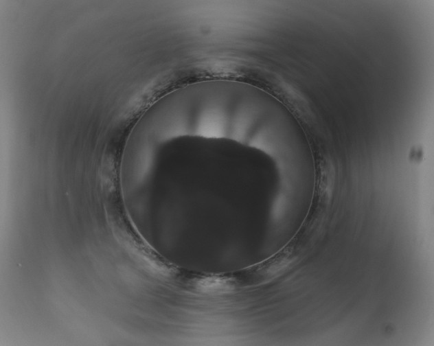 X0000111050465200906251437