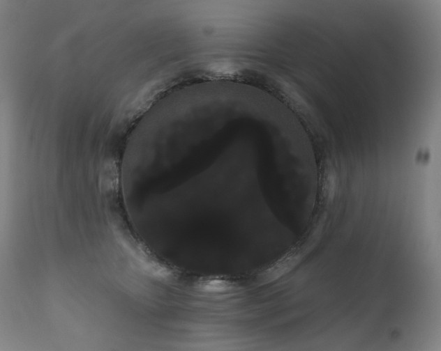 X0000111050467200906251437