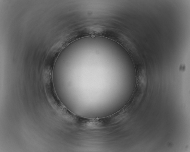 X0000111050468200906251437