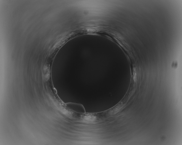 X0000111050471200906251437