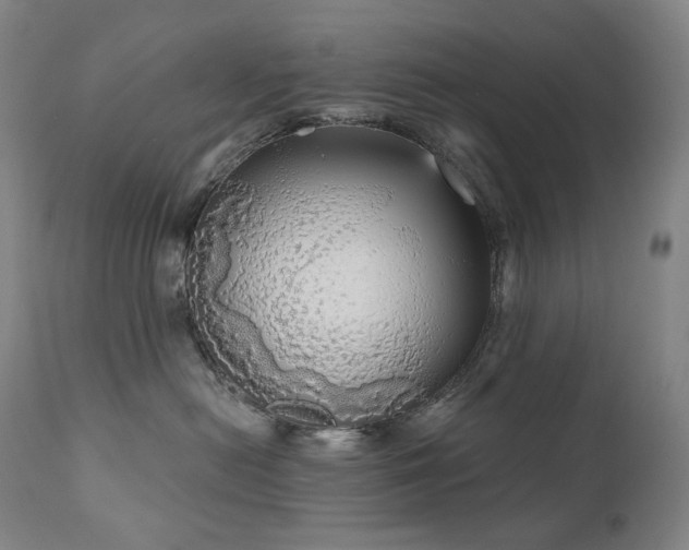 X0000111050478200906251437