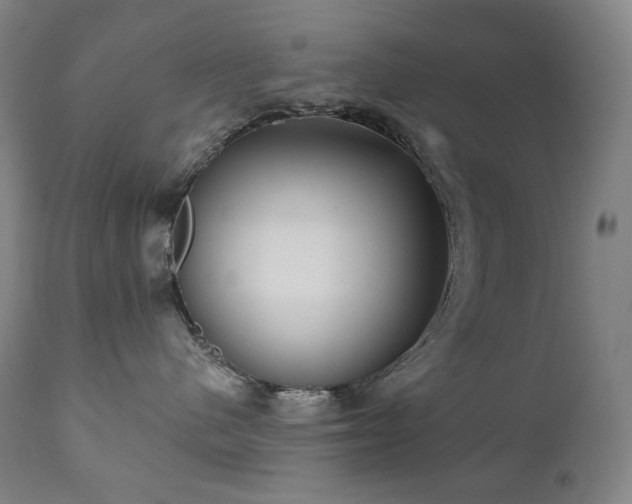 X0000111050480200906251437