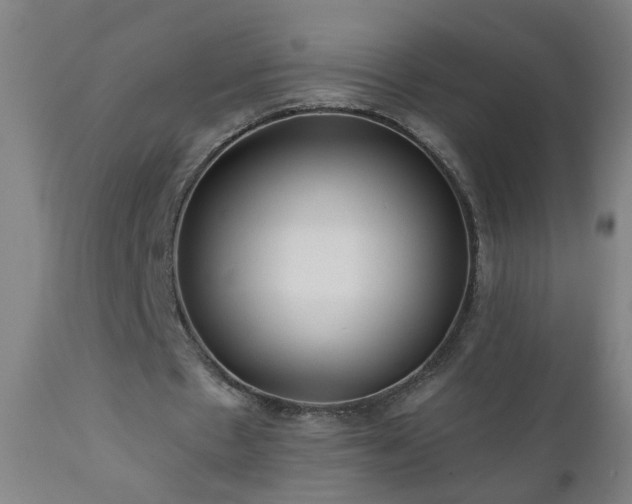 X0000111050481200906251436