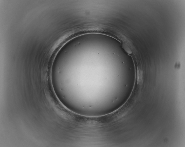 X0000111050483200906251436