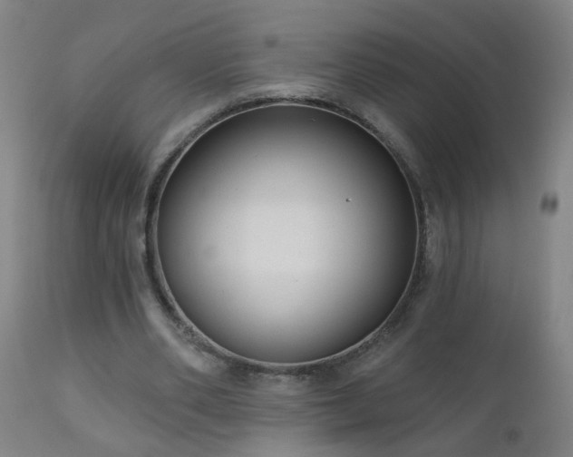 X0000111050486200906251436