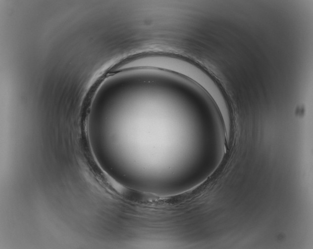 X0000111050488200906251436