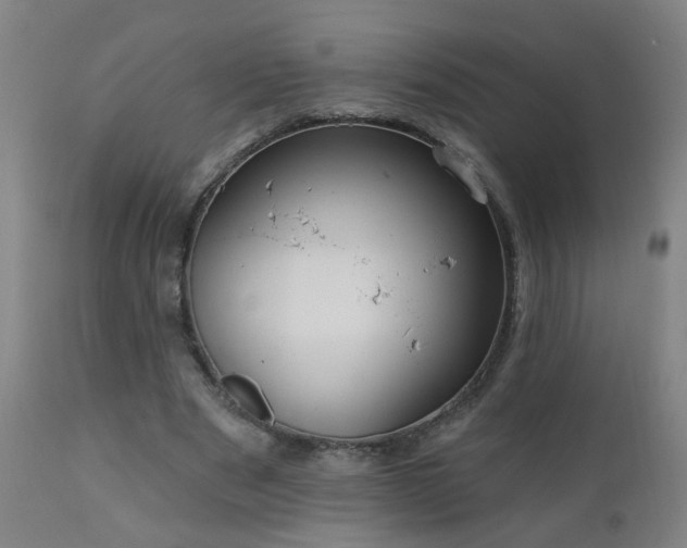 X0000111050489200906251436