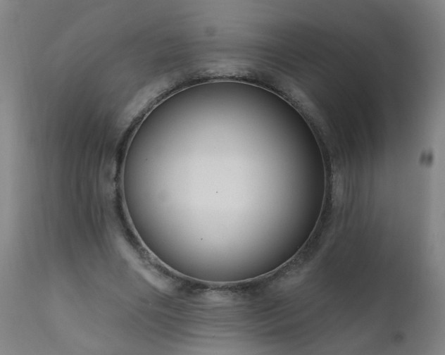 X0000111050490200906251436