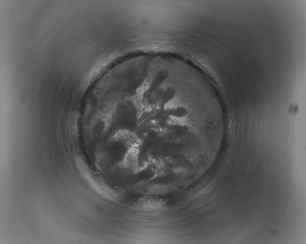 X0000111050491200906251436