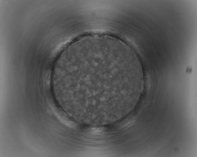 X0000111050495200906251436