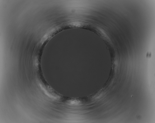 X0000111050500200906251436