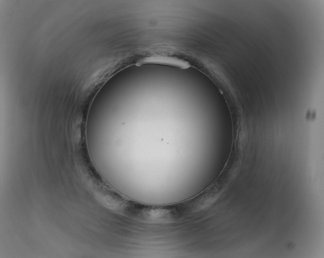 X0000111050501200906251436