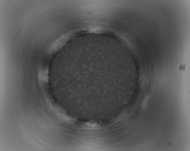 X0000111050502200906251436