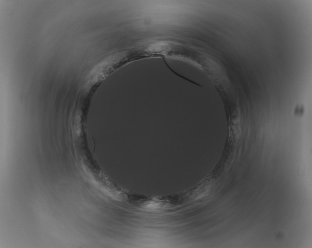 X0000111050504200906251436