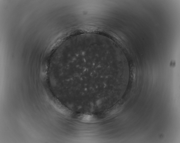 X0000111050507200906251436