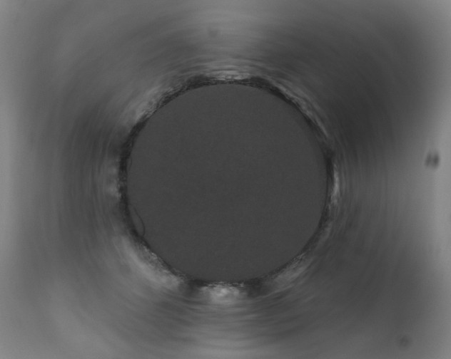 X0000111050512200906251436