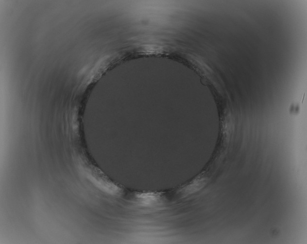 X0000111050516200906251436