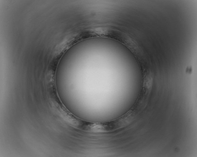 X0000111050518200906251436