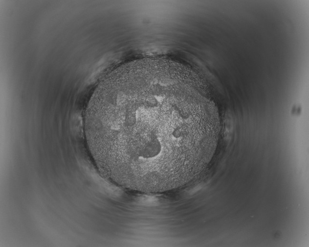 X0000111050523200906251436