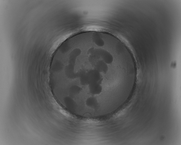 X0000111050529200906251435