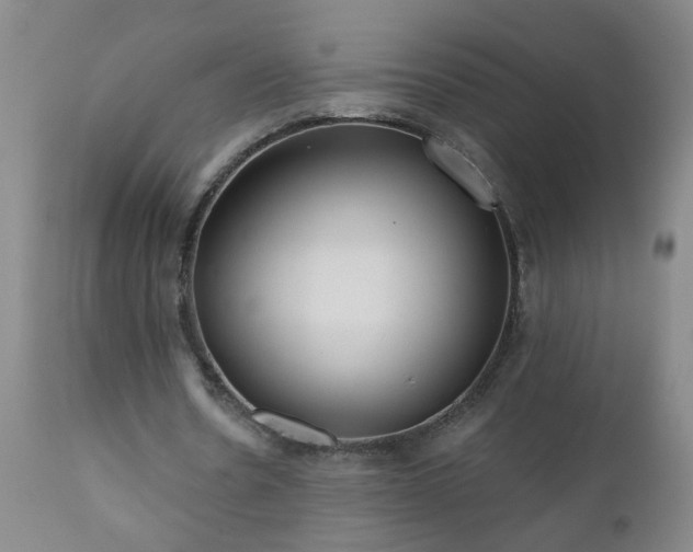 X0000111050530200906251435