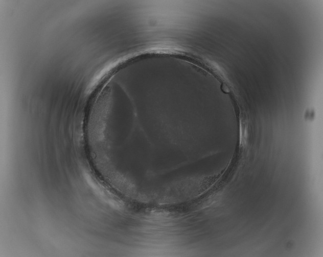 X0000111050531200906251435