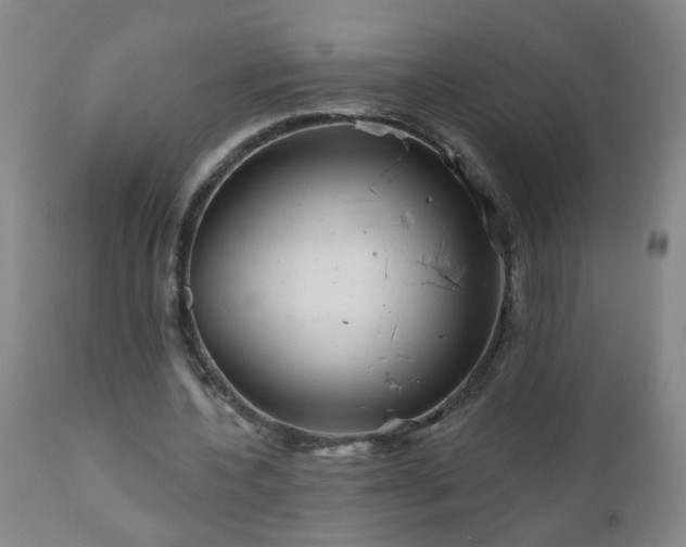 X0000111050532200906251435