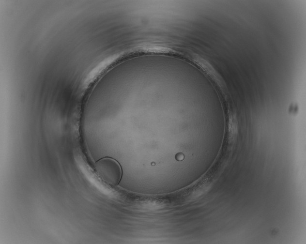 X0000111050533200906251435