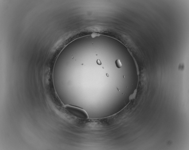 X0000111050544200906251435