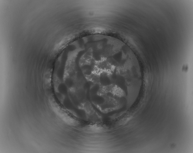 X0000111050545200906251435