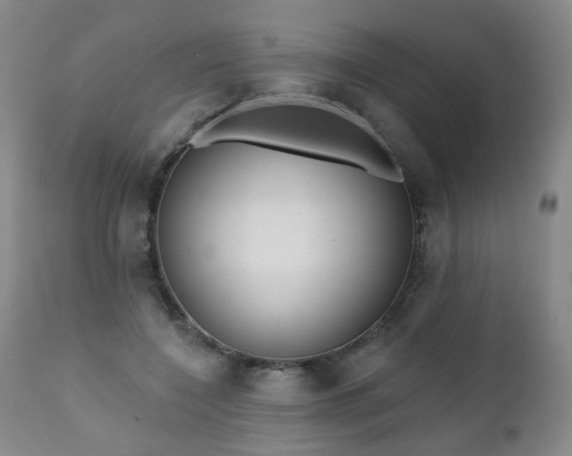 X0000111050548200906251435