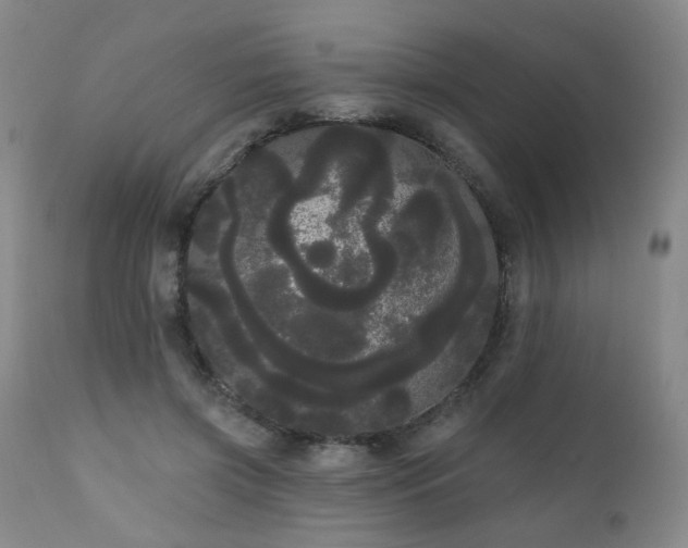 X0000111050549200906251435