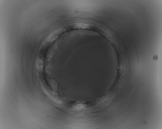 X0000111050551200906251435