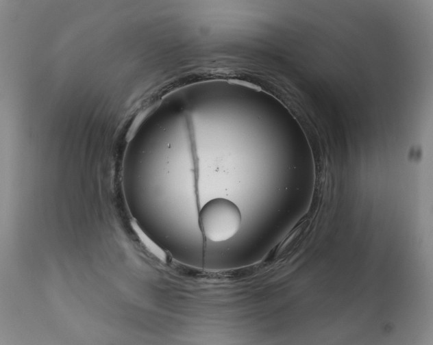 X0000111050552200906251435