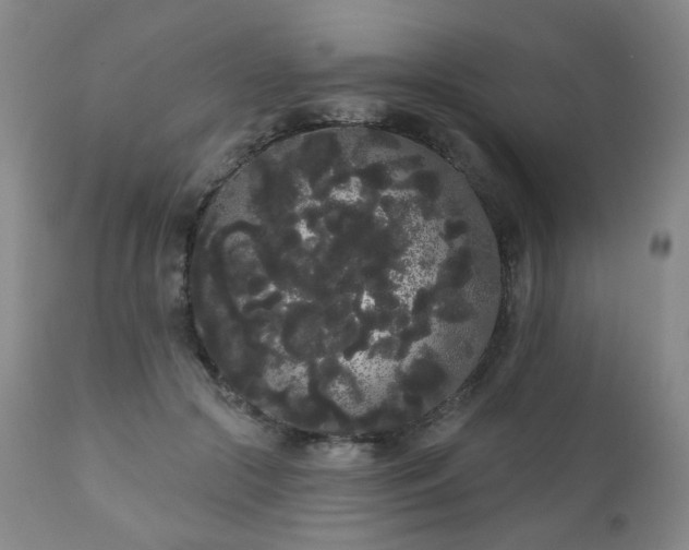 X0000111050553200906251436