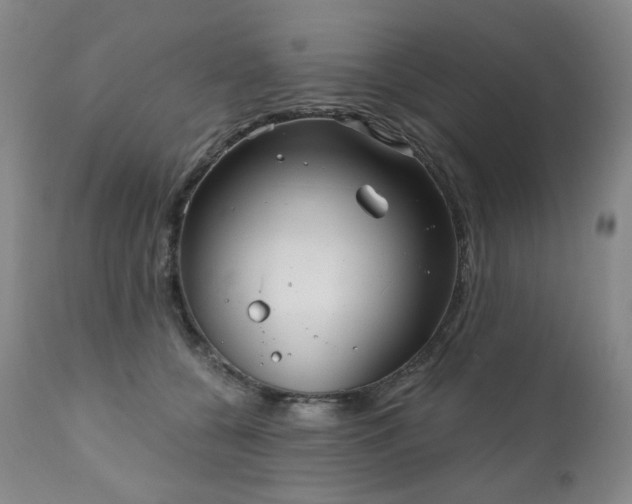 X0000111050560200906251436